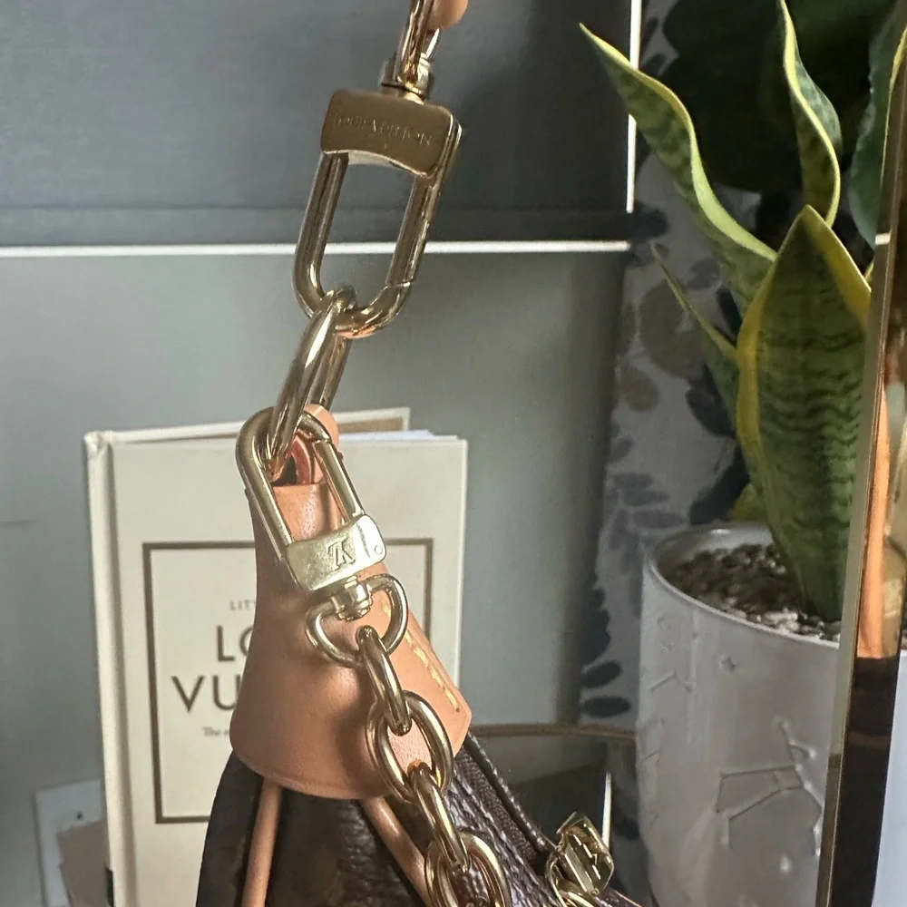 Louis Vuitton Monogram Mini Loop Shoulder Bag - Picture 3 of 11